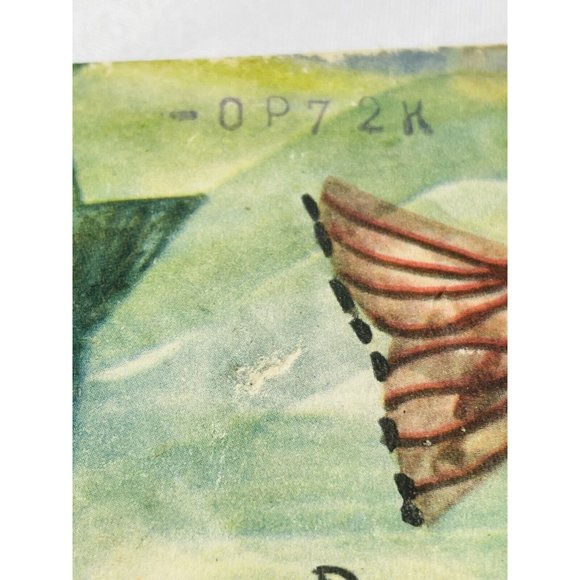 Who Can Tell By Margaret Sperry - Hardcover Vintage 1959 Children’s Book - Picture 4 of 11